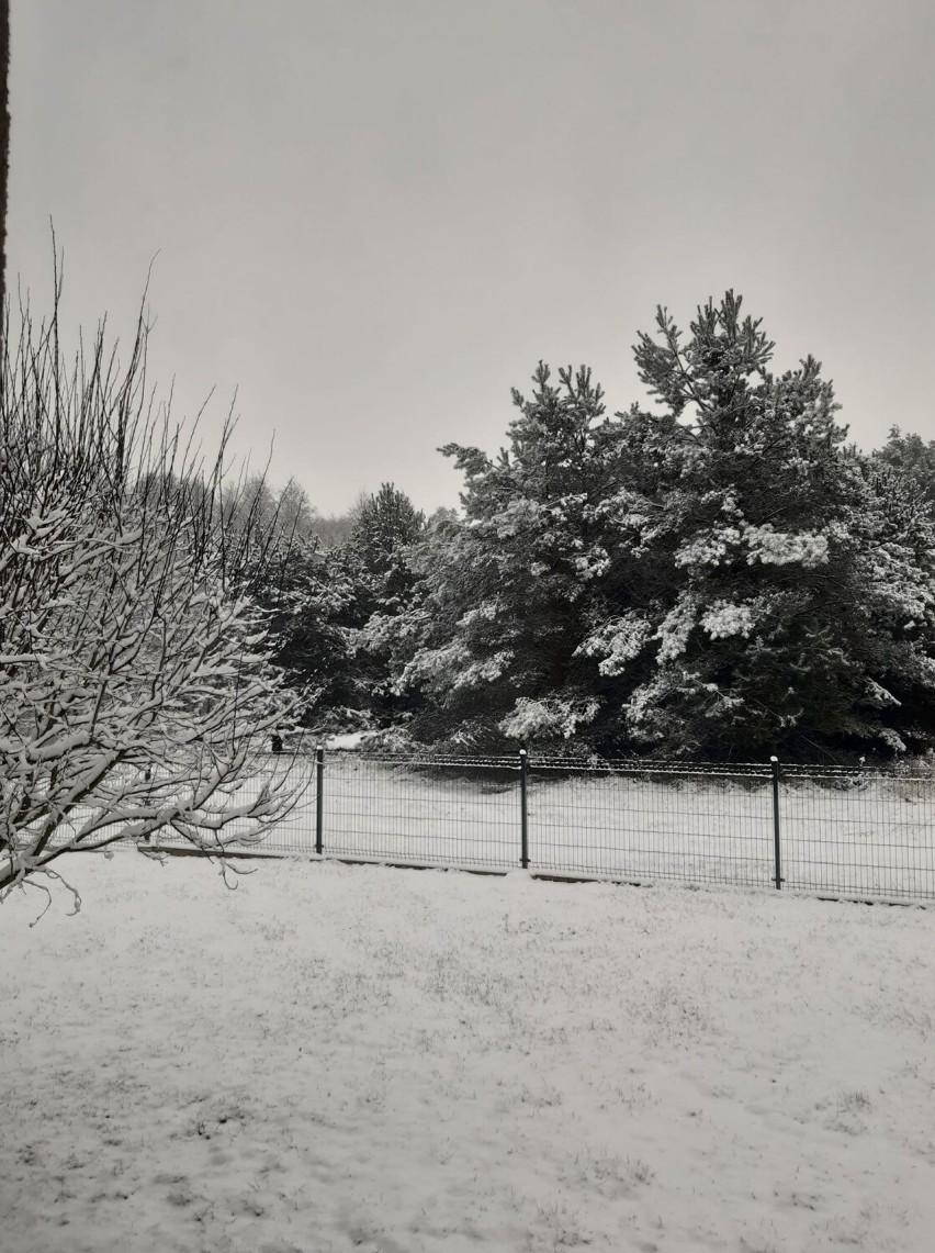 Otuleni białym puchem - 5.12.2021