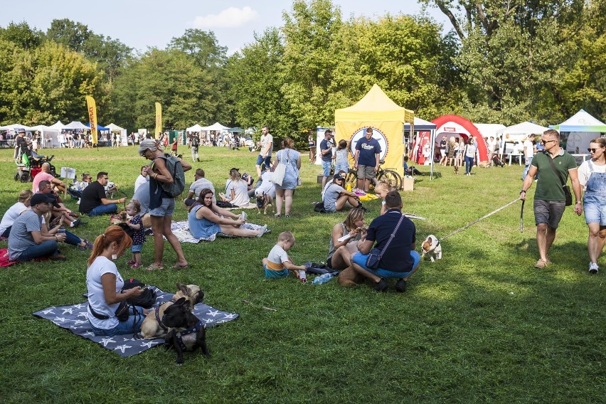 Zlot Buldogów Francuskich 2018. Miłośnicy psów spotkali się po raz dwudziesty