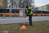 W Warszawie rozpoczęły się wiosenne porządki. Aktywiści oceniają: widać, że miasto zaniedbało sprzątanie ulic po zimie