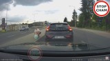 Zatrzymała auto i wyszła ze zwierzakiem jakby nigdy nic. Kuriozalna sytuacja na drodze z Rzeszowa do Tyczyna. Zobacz nagranie