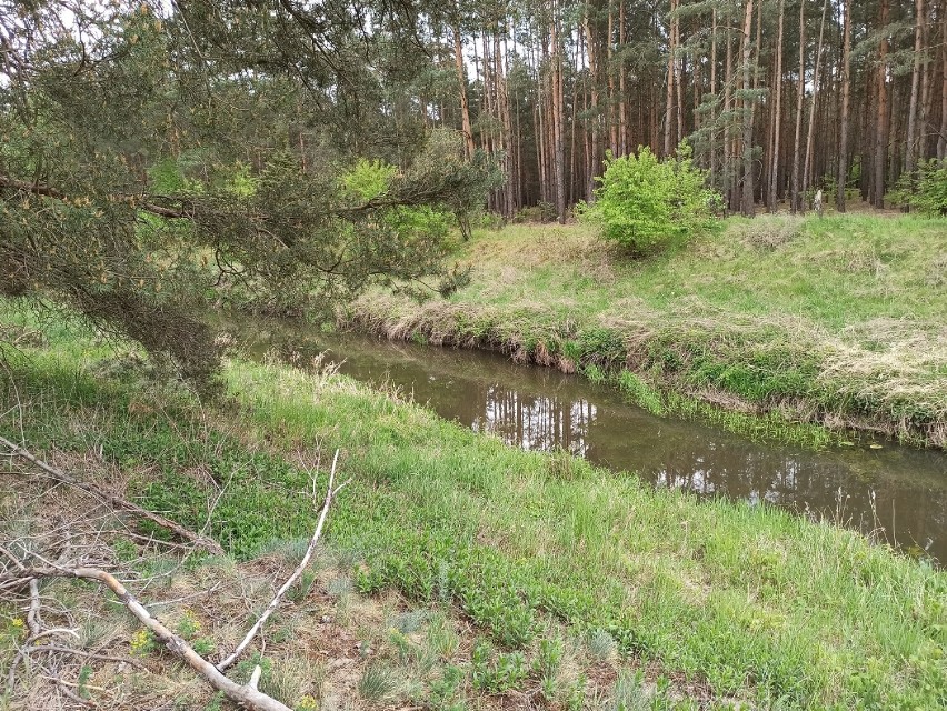 Powa to lewobrzeżny dopływ Warty, mający swoje źródło na...