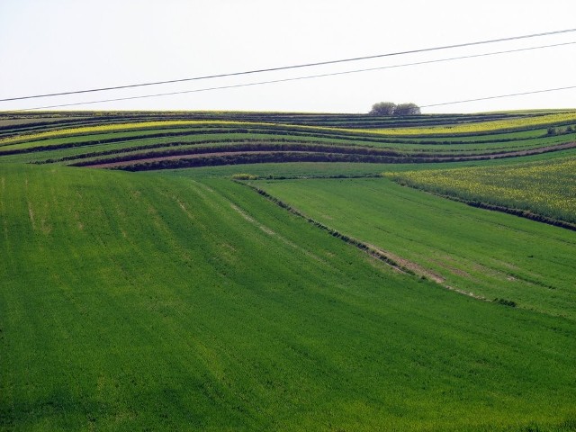 Działy Grabowieckie