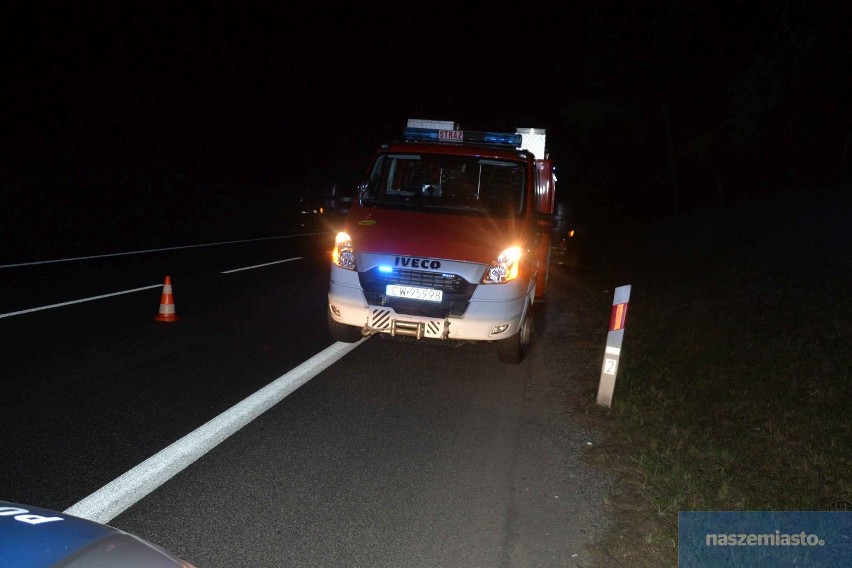Wypadek na drodze Włocławek - Kowal. Dwa samochody uderzyły w łosia. 23-latek w stanie poważnym [zdjęcia]