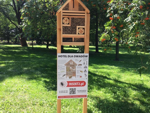 Hoteliki dla owadów w Pleszewie. Pszczoły i inne owady mogą się w nich osiedlać. Sprawdź, gdzie można je zobaczyć