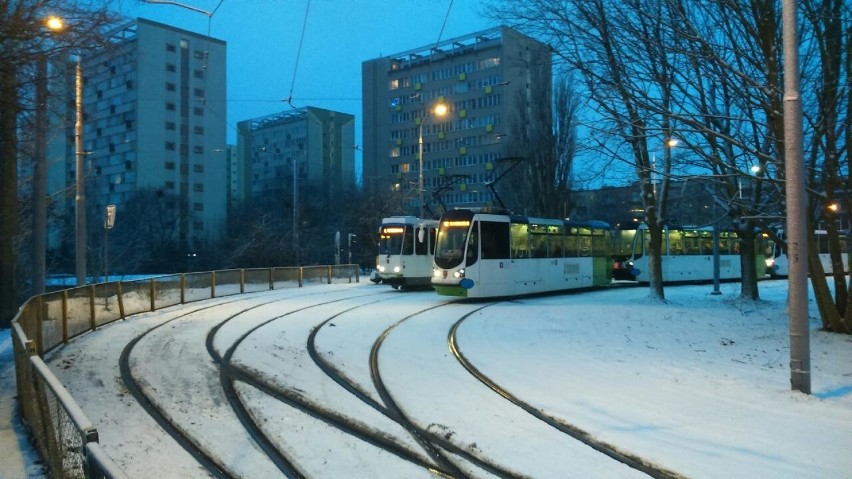 Sytuacja na drogach w Szczecinie. Śnieg zaskoczył kierowców? 