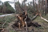 Wichura w powiecie zawierciańskim. Strażacy interweniowali ponad 40 razy 