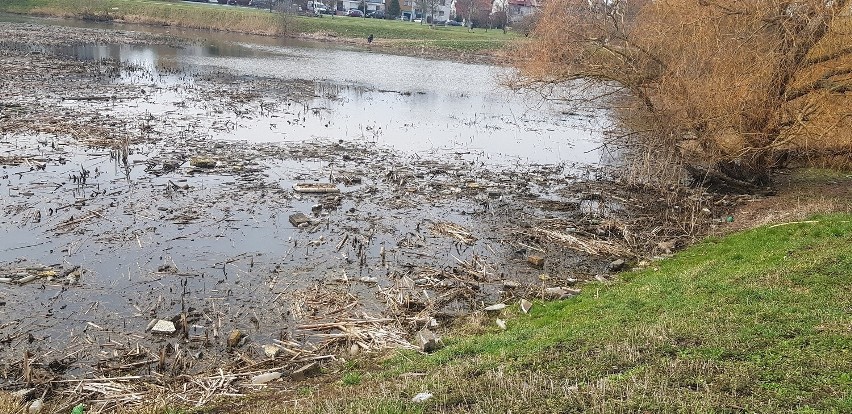 Wody Polskie posprzątają jezioro Słoneczne na Gumieńcach