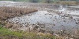 Wody Polskie posprzątają jezioro Słoneczne na Gumieńcach