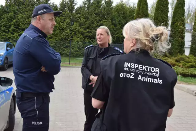 Policja i inspektorzy Animalsów w roku 2018 przed fermą trzody chlewnej