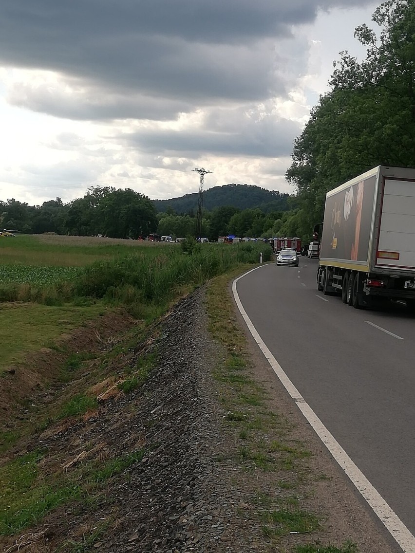 Wypadek autokaru w Ścinawce Górnej. Wycieczka jechała do Zamku Książ w Wałbrzychu. Autokar w rowie, 11 osób rannych