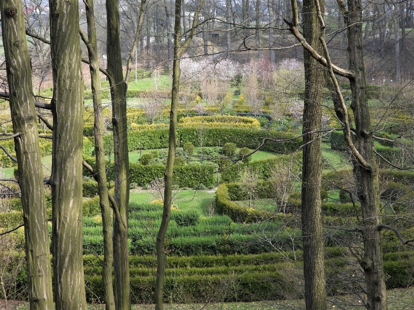 Arboretum Bramy Morawskiej na Majówkę? To jest magiczne...