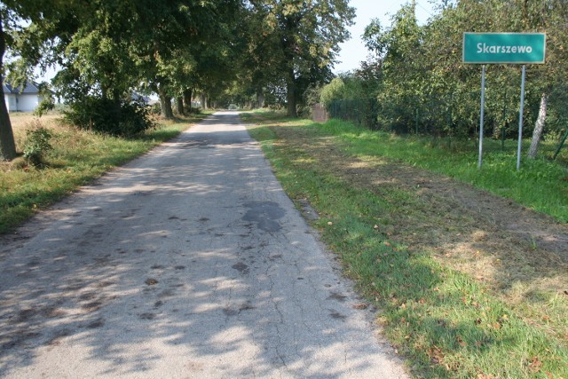 Poszerzenie drogi wymaga wycinki 20 drzew po lewej, bo pobocze po prawej nie należy do PZD