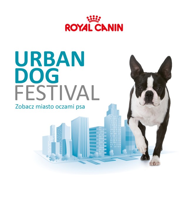 Urban Dog Festival 10 maja w King Cross Marcelin