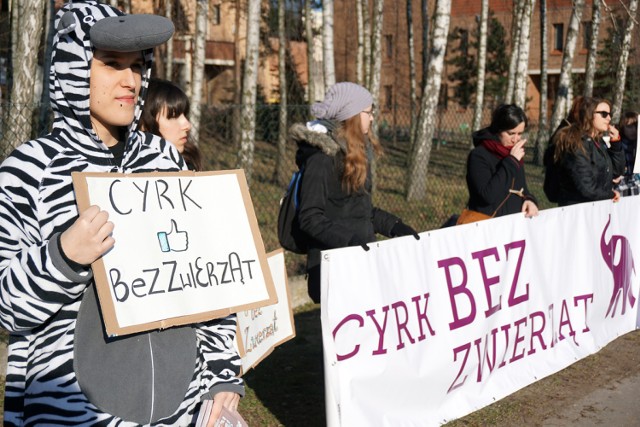 Protest pod cyrkiem Korona w Łodzi /13.03.2016