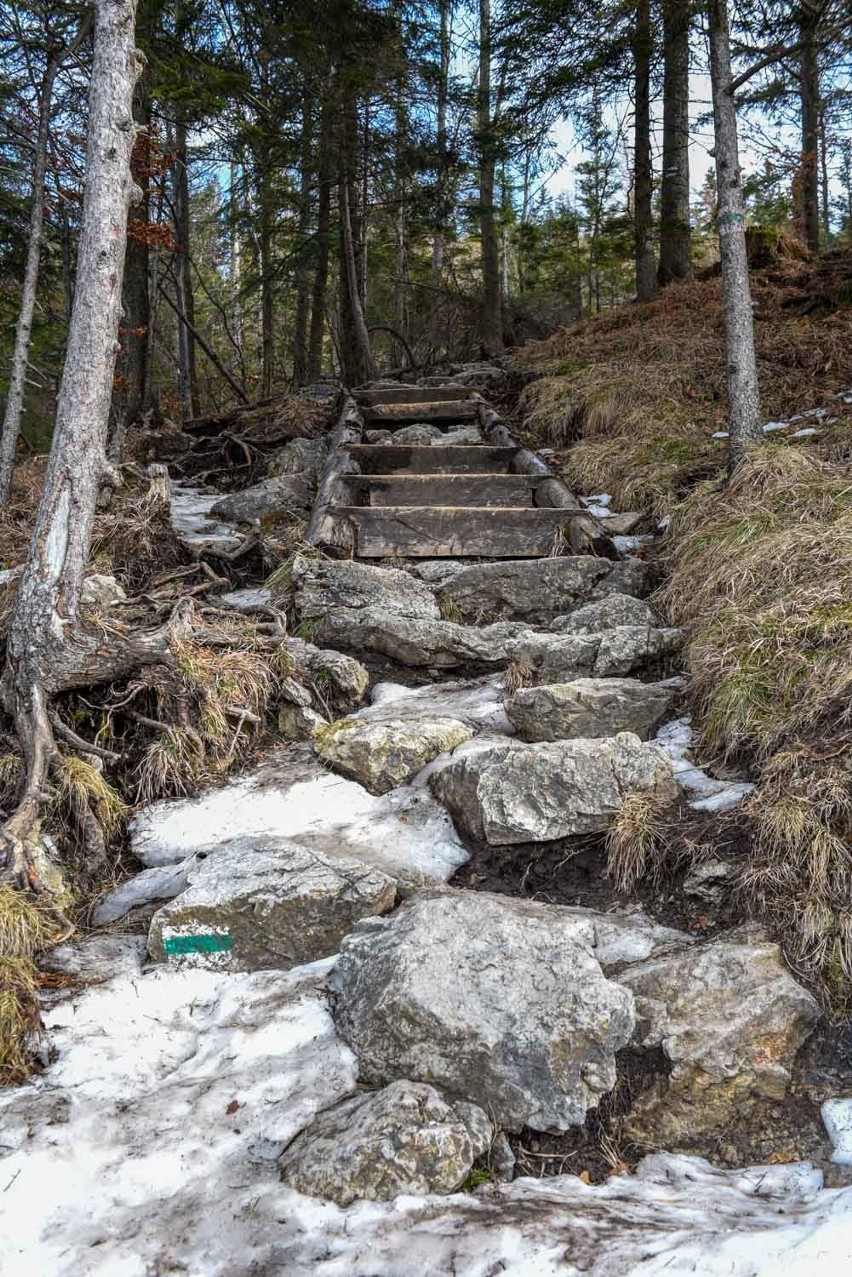 Tatry: Przyszła odwilż i szlaki zrobiły się śliskie oraz niebezpieczne [ZDJĘCIA]