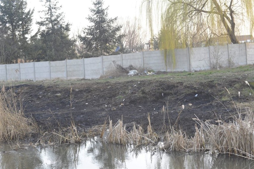 KOŚCIAN. Pożary traw - pierwsze w tym roku w powiecie kościańskim [ZDJĘCIA]