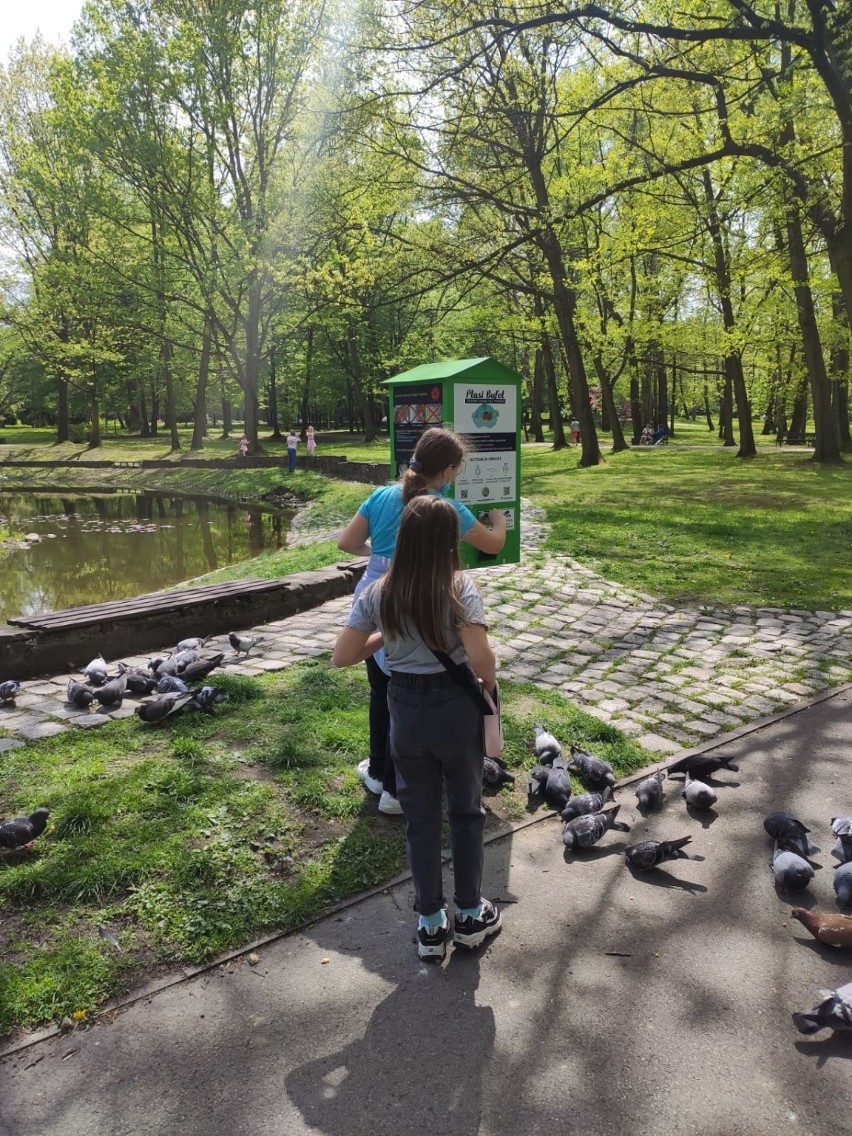 Ptasi bufet w Parku Kościuszki w Katowicach