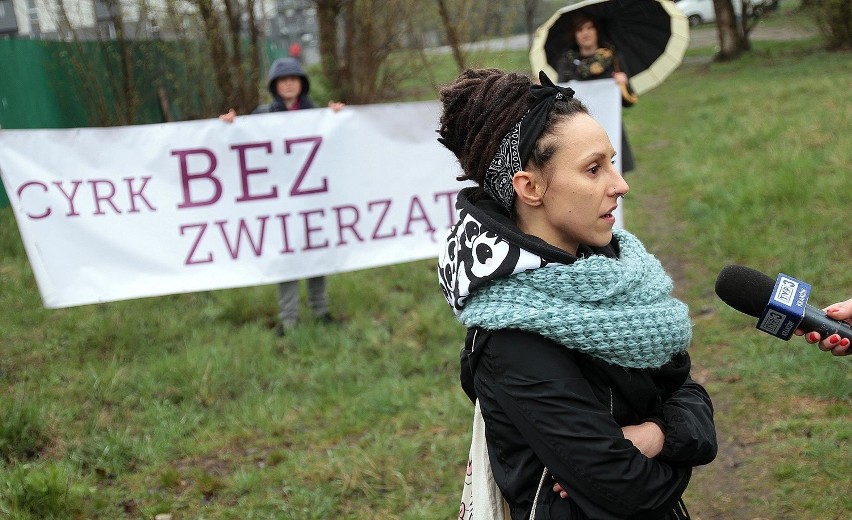 "Cyrk bez zwierząt". Obrońcy praw zwierząt protestowali w Krakowie [ZDJĘCIA]