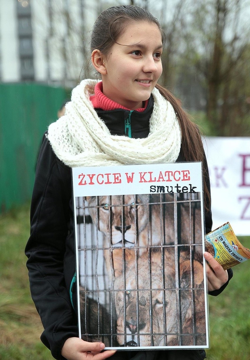"Cyrk bez zwierząt". Obrońcy praw zwierząt protestowali w Krakowie [ZDJĘCIA]