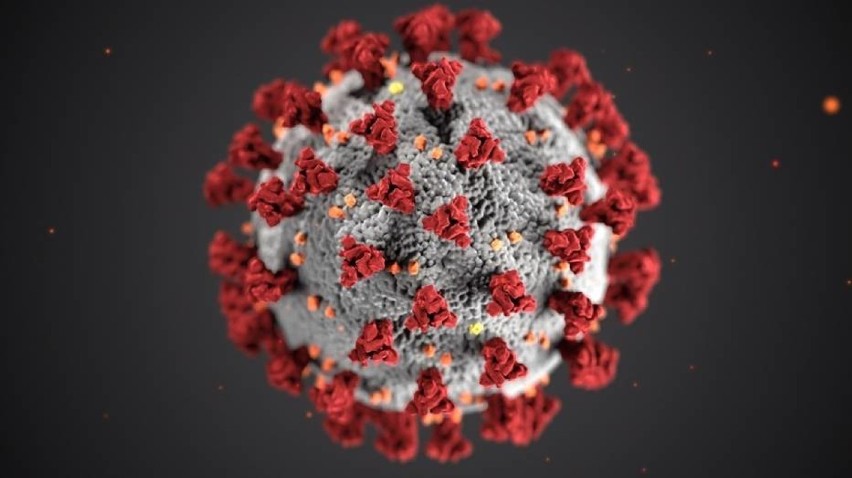 Koronawirus. Resort zdrowia informuje o kolejnych osobach zakażonych wirusem SARS-CoV-2 w powiecie górowskim [28.01.2021]