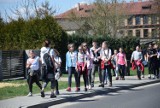 Rajd "Przebiśniegom na spotkanie". Wzięło w nim udział ponad 900 osób FOTO