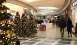 Godziny otwarcia sklepów w Łodzi w weekend, Wigilię i święta Bożego Narodzenia