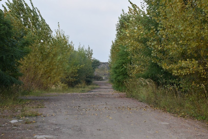 Na terenach po kopalni KWK 1 Maja wybudowane zostaną nowe...