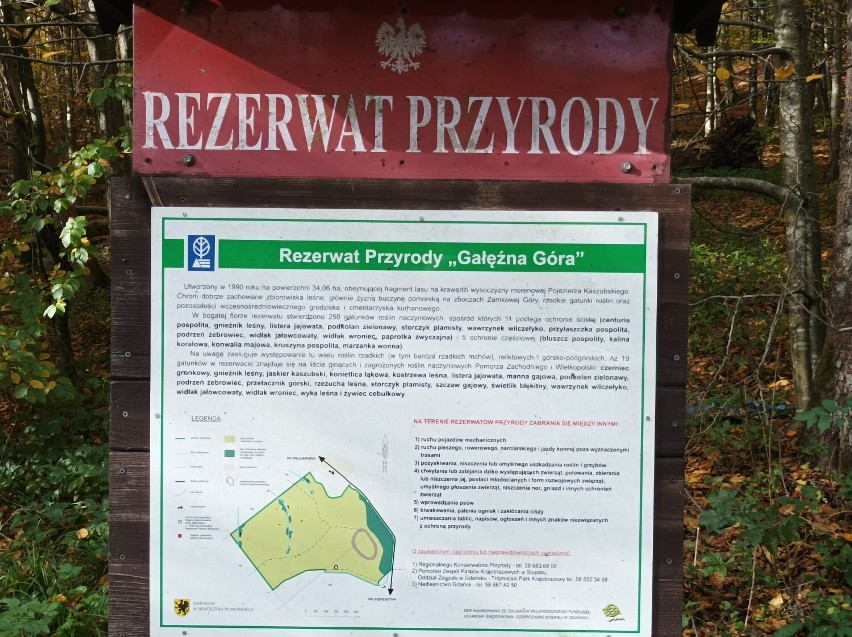 Trasa Wejherowo - Młynki