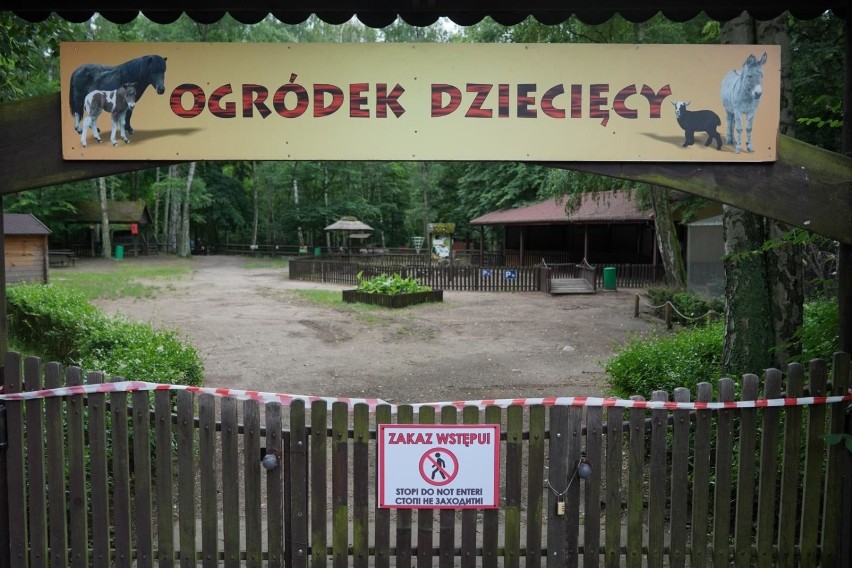 Ogród zoologiczny w Poznaniu pozostanie zamknięty do 11...