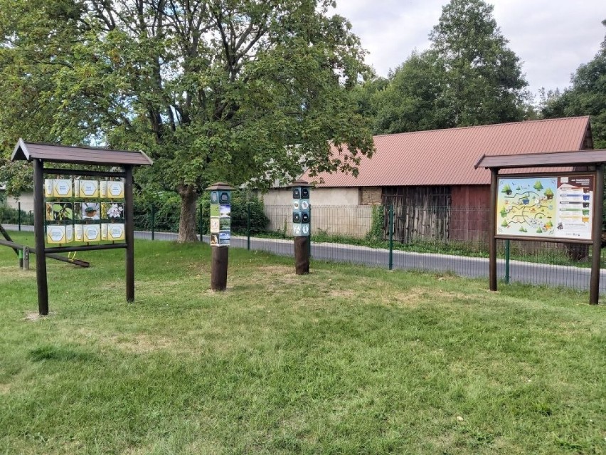 Rodzinny park w Loryńcu już otwarty!  Nie brakuje atrakcji dla dzieci i dorosłych [ZDJĘCIA]