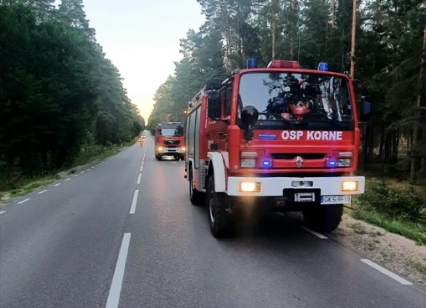 Wypadek na trasie Korne - Lipusz 11.08.2022. Samochód w rowie. Okazało się, że rodzina jechała z dzieckiem do szpitala