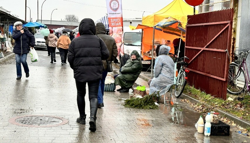 Zakupy na targu w Tarnobrzegu przed świętami Bożego Narodzenia. Królowały choinki, stroiki, jemioła, susz wigilijny, karpie. Jakie ceny?