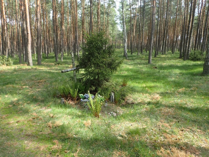 Niemiecki żołnierz spoczywał w leśnej mogile w Jaszczu