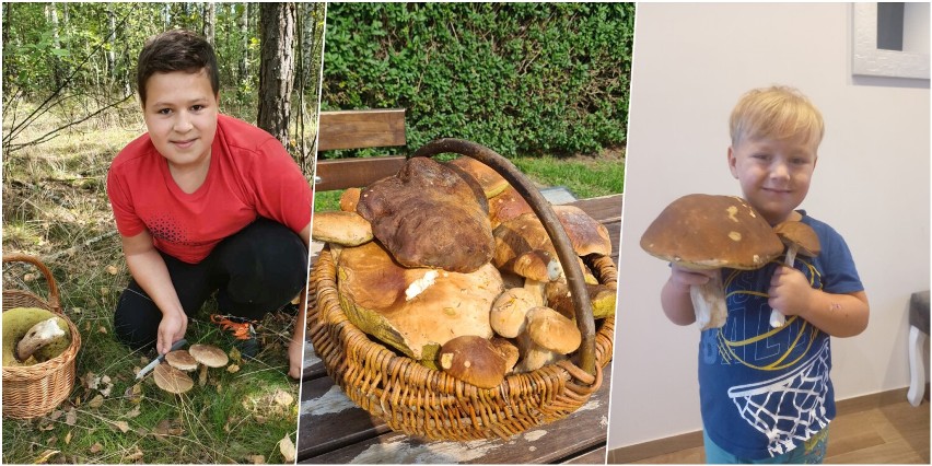 Mieszkańcy Sycowa i okolic pochwalili się zbiorami grzybów. Mieli bardzo udane grzybobranie!