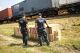 Terespol. Ponad 32 tys. paczek papierosów ukryte w kontenerach