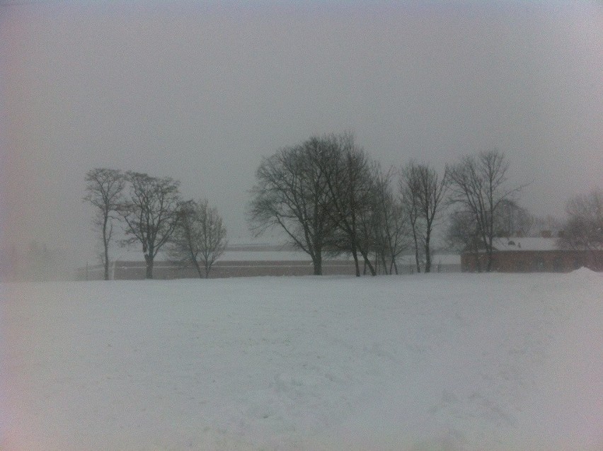 Zamość i region: Zima wróciła, ale najgorsze już za nami. ZDJĘCIA, RELACJA