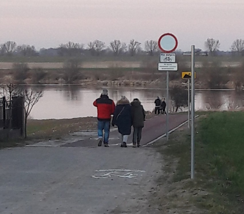 Koronawirus - powiat tczewski. Nie znikają "wycieczki" spacerowiczów na trasie rowerowej w kierunku Knybawy