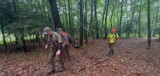W Gorlickiem trwa przeszukiwanie lasów z psami tropiącymi padlinę. Tak wygląda walka z afrykańskim pomorem świń