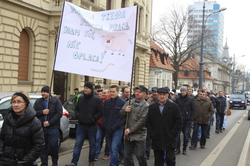 Hodowcy trzody chlewnej w Łodzi. Protest na ul. Piotrkowskiej [ZDJĘCIA]