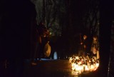 Rybnik: Mieszkańcy tłumnie ruszyli na cmentarze. Przy Rudzkiej ruch jak we Wszystkich Świętych! Sprzedawcy kwiatów i zniczy są wściekli