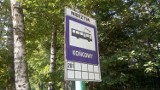 Autobusem do Nierzymia. Rusza weekendowa linia nad popularne jezioro!