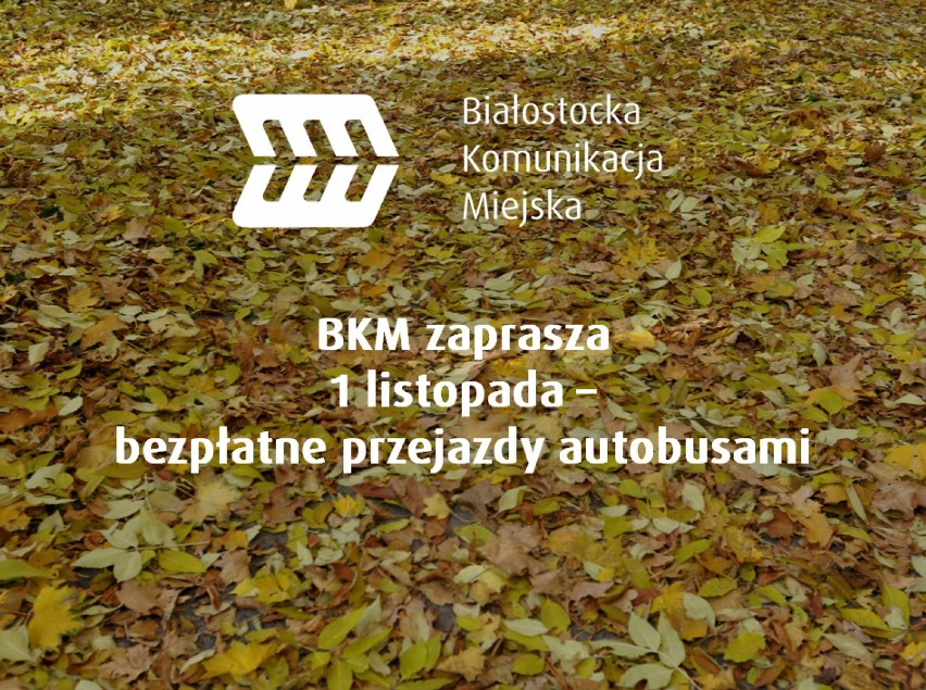 Organizacja komunikacji w Białymstoku w dniach 1-3 listopada 2013r.