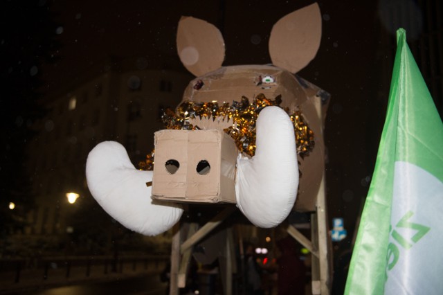 Protest przeciw odstrzałowi dzików pod Sejmem (9/01/2019)