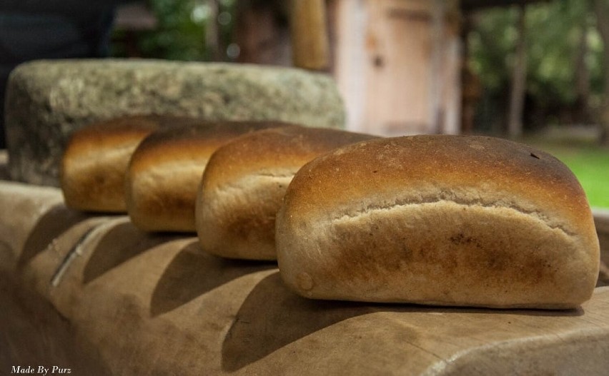 Miłoradz. Jak piecze się chleb? Tego najlepiej uczyć się od mistrza piekarnicznego. Warsztaty w Dawnej Wozowni