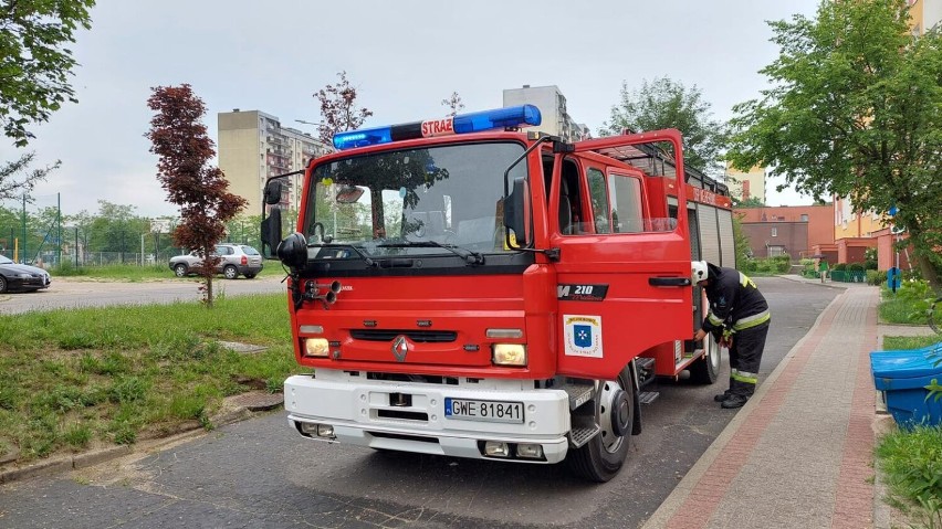 Nietypowa akcja strażaków. Druhowie z OSP Wejherowo uratowali gołębia | ZDJĘCIA