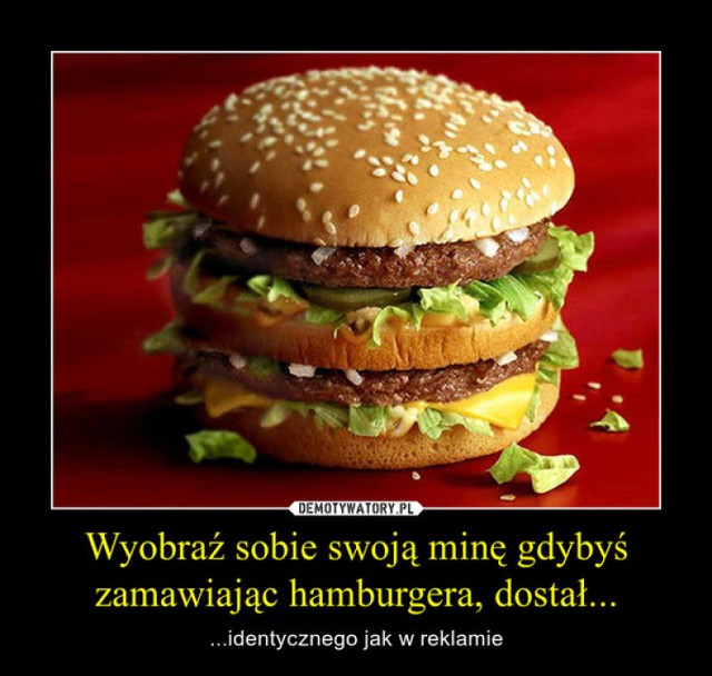 Światowy Dzień Hamburgera - najlepsze memy

Zobacz kolejne ------------->