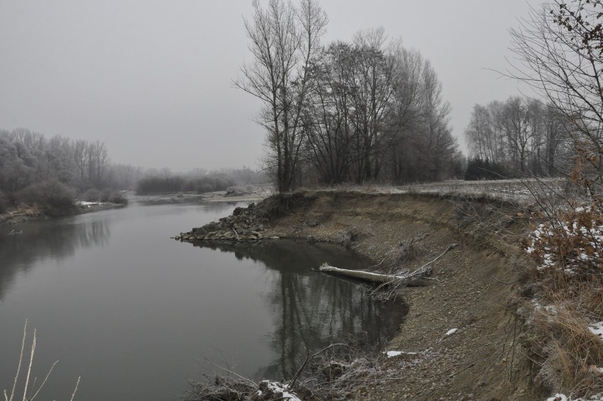 Soła na wysokości Czajek, przysiółka wsi Grojec jeszcze...