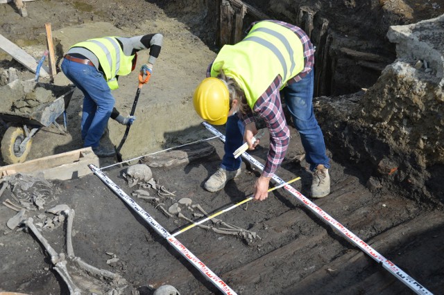 Trzy szkielety, znalezione metr pod poziomem płyty Rynku w Bochni, zostały zabrane do badań antropologicznych