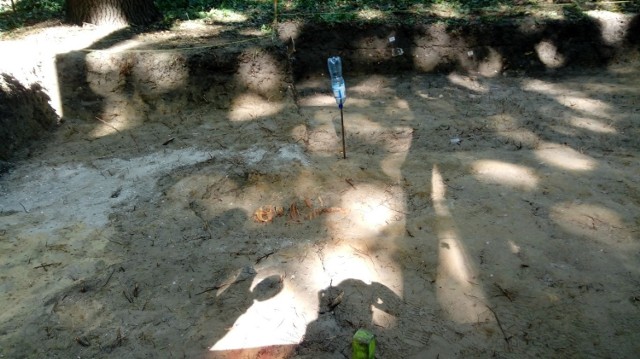 Na Westerplatte odnaleziono szczątki polskiego żołnierza, elementy wyposażenia i uzbrojenia