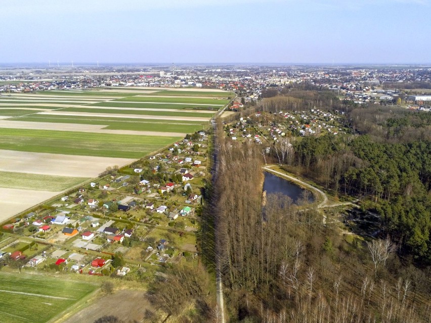 Ogród botaniczny i ogrody działkowe "Jelonek"